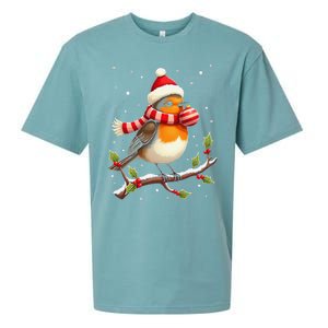 Cute Robin Bird Christmas Bird Watching Lover Xmas Watcher Sueded Cloud Jersey T-Shirt