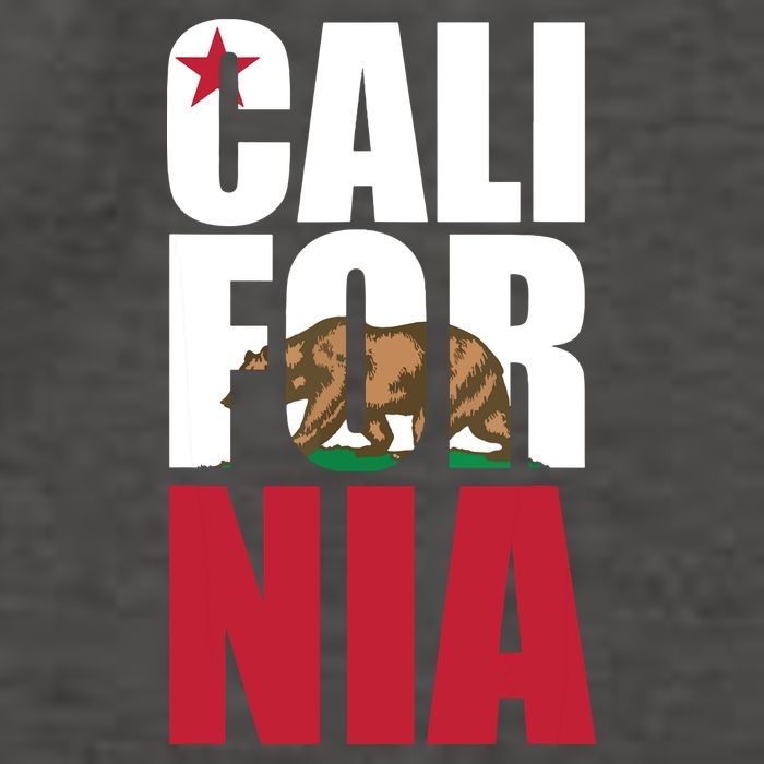 California Republic Bear T Vector Backpack