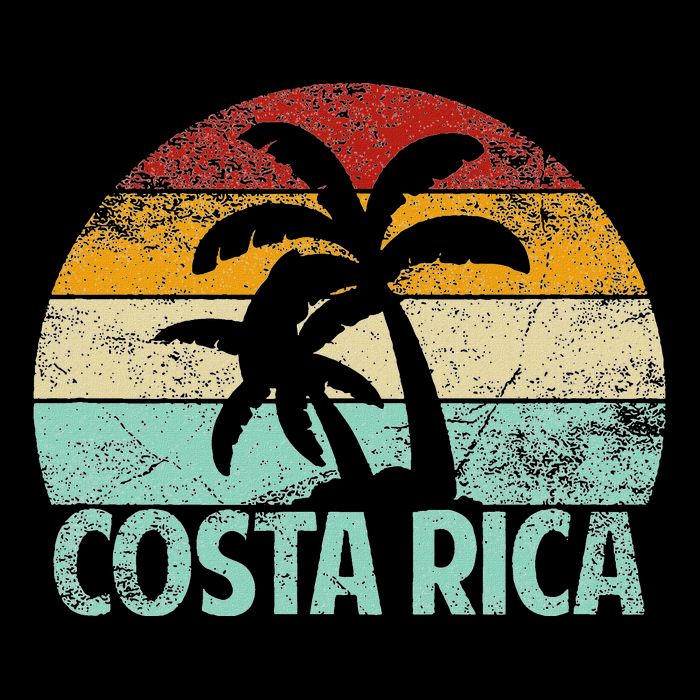 Costa Rica Beach Sunset Palm Tree Retro Vacation Costa Rica 16 in Basic Backpack