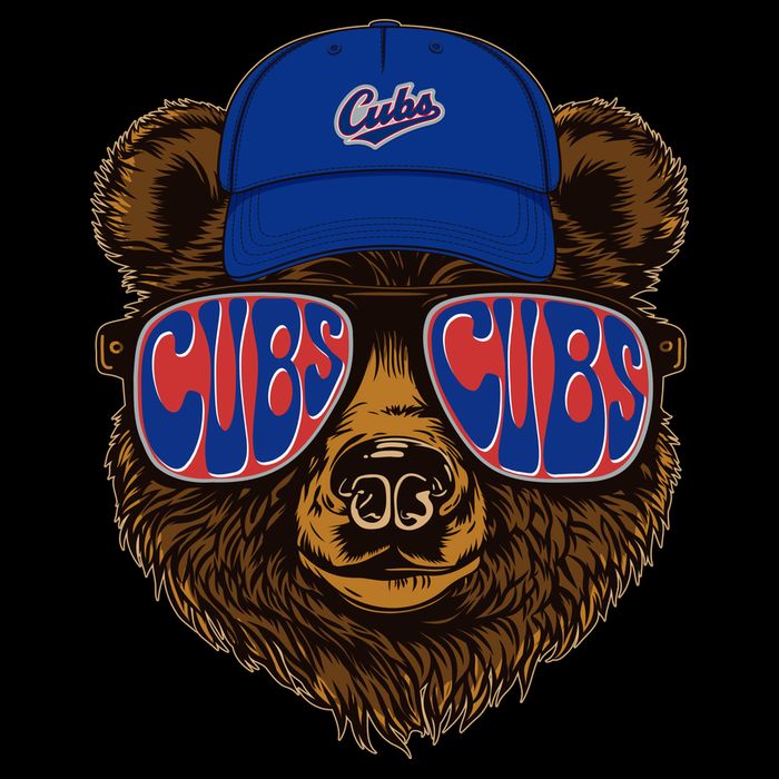 Cool Retro Cubs Bear Mesh Reversible Basketball Jersey Tank