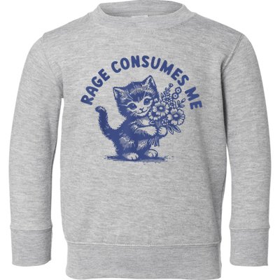 Cat Rage Consumes Me Toddler Sweatshirt