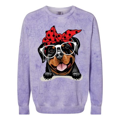 Cute Rottweiler Christmas Red Plaid Headband And Glasses Great Gift Colorblast Crewneck Sweatshirt