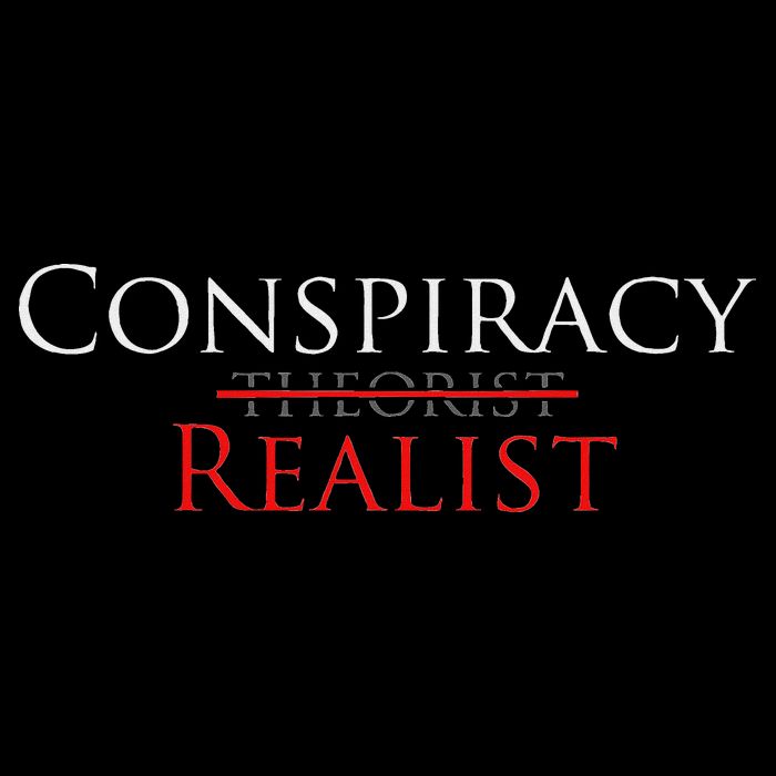 Conspiracy Realist Conspiracy Theory Bucket Hat