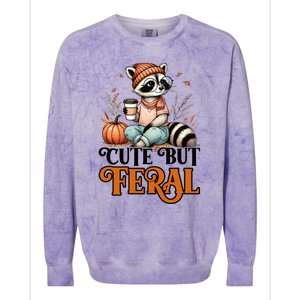 Coffee Raccoon Cute But Feral Autumn Design Gift Colorblast Crewneck Sweatshirt