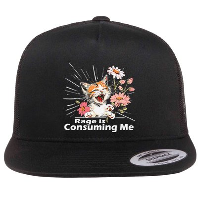 Cat Rage Consumes Me Humor Meme .Png Flat Bill Trucker Hat