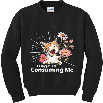 Cat Rage Consumes Me Humor Meme .Png Kids Sweatshirt
