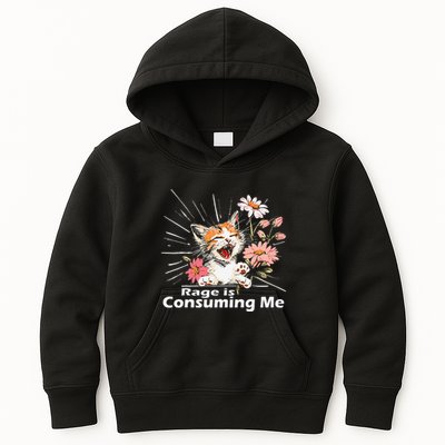 Cat Rage Consumes Me Humor Meme .Png Kids Hoodie