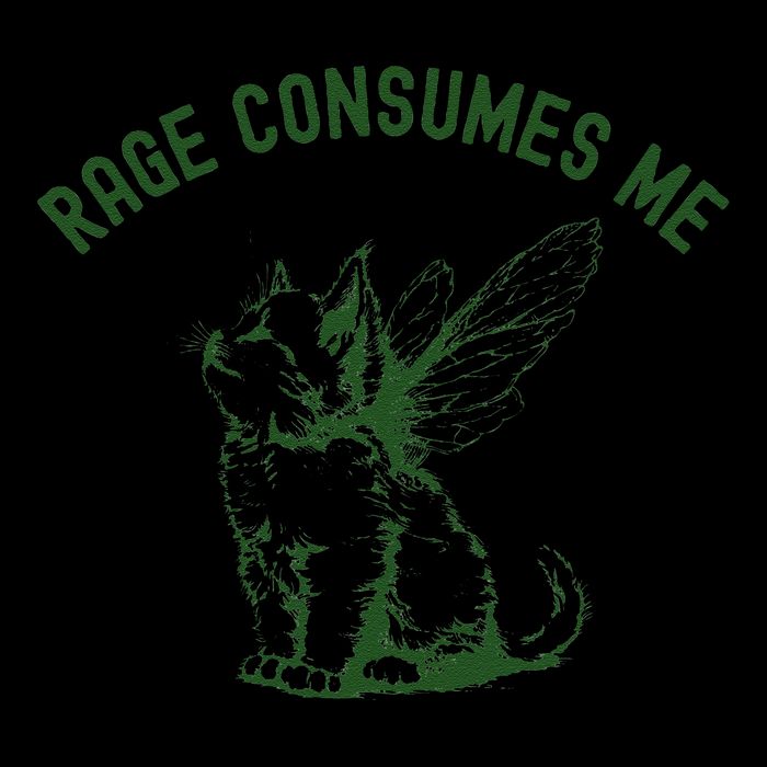 Cat Rage Consumes Me Cropped Pullover Crew