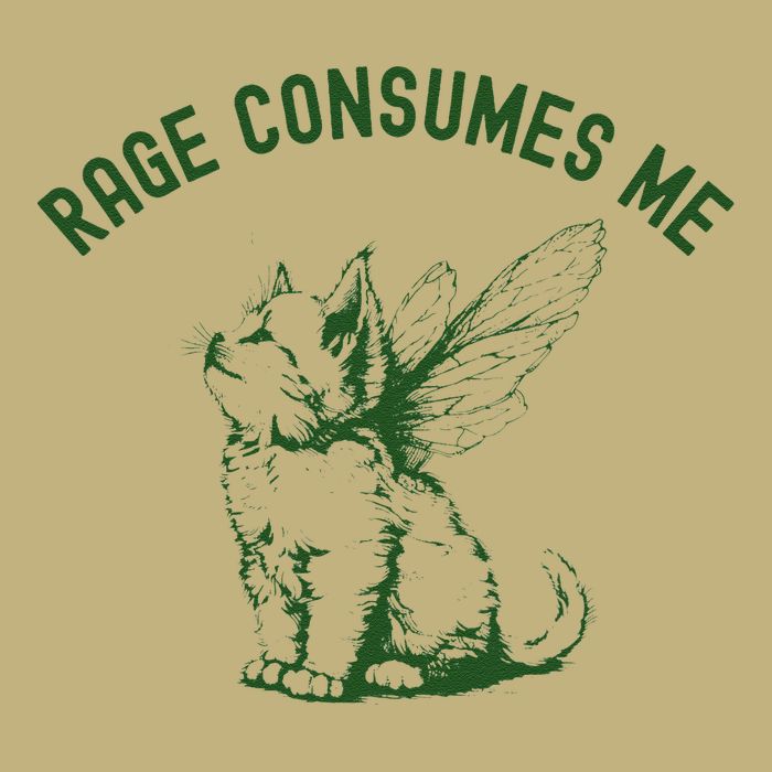 Cat Rage Consumes Me T-Shirt