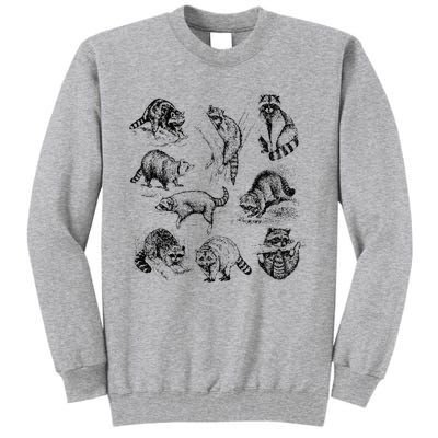 Cute Raccoon Drawing Racoon Portrait Sketch Wild Trash Panda Tall Sweatshirt