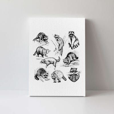 Cute Raccoon Drawing Racoon Portrait Sketch Wild Trash Panda Canvas