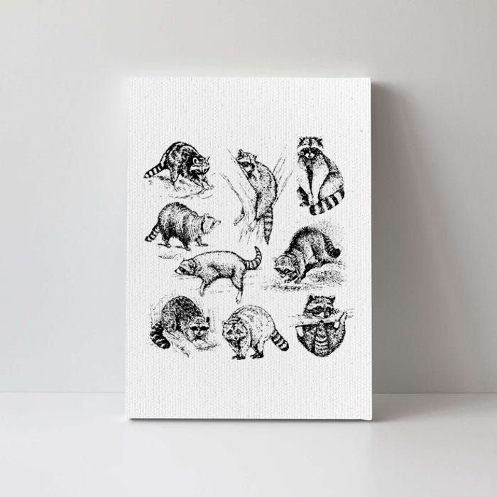 Cute Raccoon Drawing Racoon Portrait Sketch Wild Trash Panda Canvas