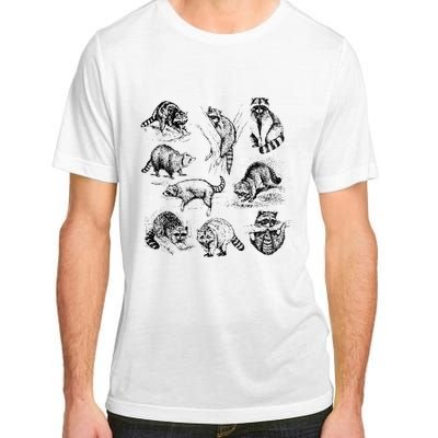 Cute Raccoon Drawing Racoon Portrait Sketch Wild Trash Panda Adult ChromaSoft Performance T-Shirt