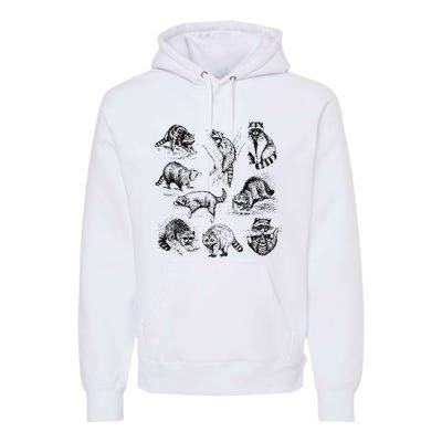 Cute Raccoon Drawing Racoon Portrait Sketch Wild Trash Panda Premium Hoodie