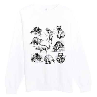 Cute Raccoon Drawing Racoon Portrait Sketch Wild Trash Panda Premium Crewneck Sweatshirt