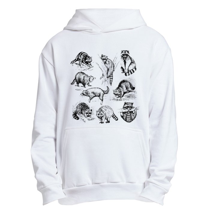 Cute Raccoon Drawing Racoon Portrait Sketch Wild Trash Panda Urban Pullover Hoodie