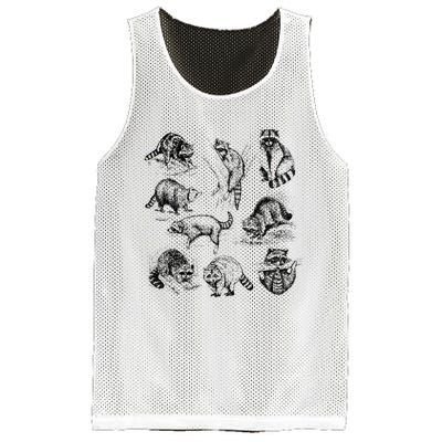 Cute Raccoon Drawing Racoon Portrait Sketch Wild Trash Panda Mesh Reversible Basketball Jersey Tank