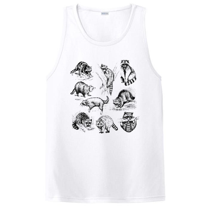 Cute Raccoon Drawing Racoon Portrait Sketch Wild Trash Panda PosiCharge Competitor Tank