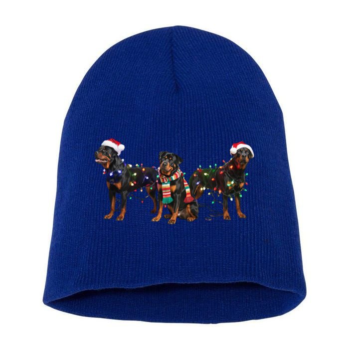 Christmas Rottweiler Dog Mom Santa Hat Holiday Design Great Gift Short Acrylic Beanie