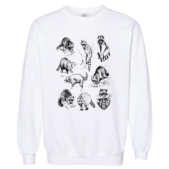 Cute Raccoon Drawing Racoon Portrait Sketch Wild Trash Panda Garment-Dyed Sweatshirt