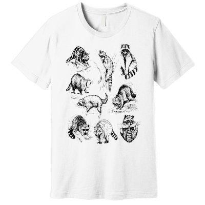 Cute Raccoon Drawing Racoon Portrait Sketch Wild Trash Panda Premium T-Shirt