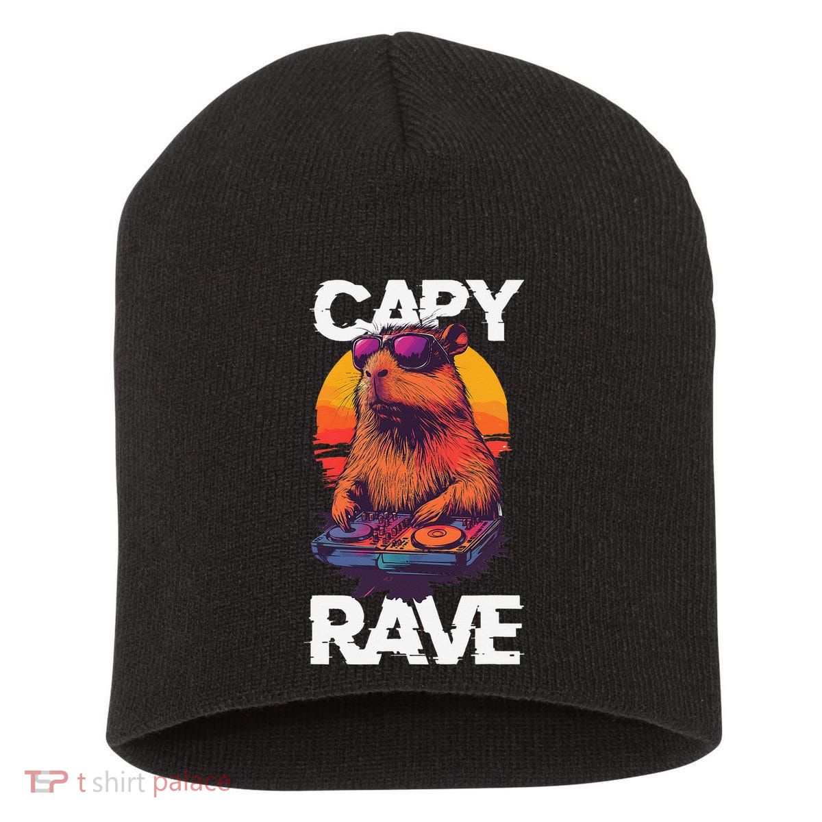 Capybara Raves Dj Rave Techno Edm Party Festival Turntable Short Acrylic Beanie