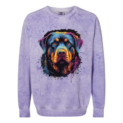 Cute Rottweiler Dog Lover Colorful Men Women Colorblast Crewneck Sweatshirt