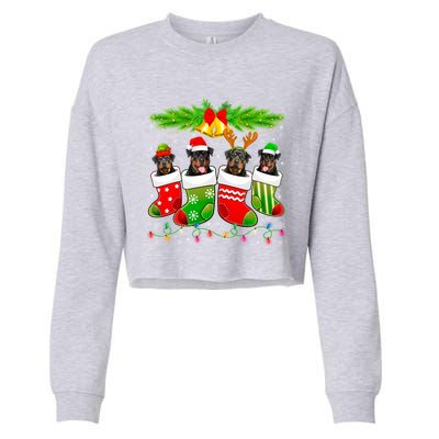 Cute Rottweiler Dog In Sock Christmas Santa Xmas Dog Great Gift Cropped Pullover Crew