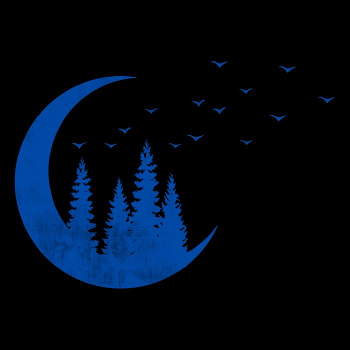 Crescent Moon Flocking Birds Visor
