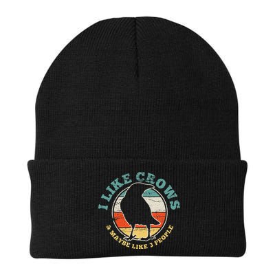 Crow Raven Funny Vintage Gift Beanie