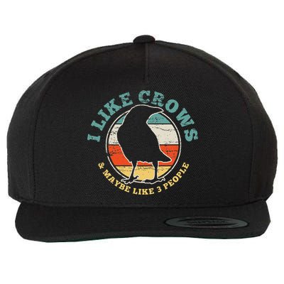 Crow Raven Funny Vintage Gift Wool Snapback Cap