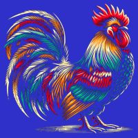 Colorful Rooster Funny Gift Poster
