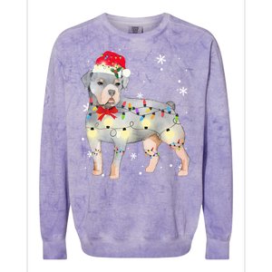 Christmas Rottweiler Funny Gift Colorblast Crewneck Sweatshirt