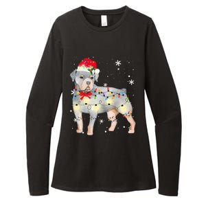 Christmas Rottweiler Funny Gift Womens CVC Long Sleeve Shirt