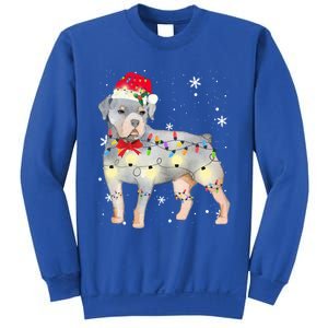 Christmas Rottweiler Funny Gift Sweatshirt