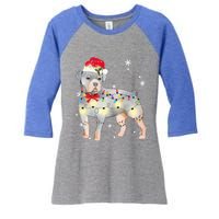 Christmas Rottweiler Funny Gift Women's Tri-Blend 3/4-Sleeve Raglan Shirt