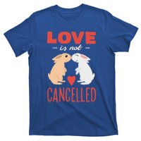 Cuddly Rabbits Gift Big Love Is Not Callnised Cute Gift T-Shirt