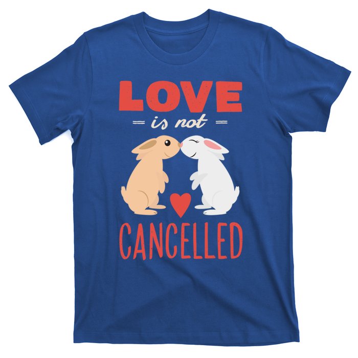 Cuddly Rabbits Gift Big Love Is Not Callnised Cute Gift T-Shirt