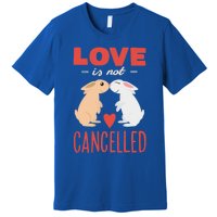 Cuddly Rabbits Gift Big Love Is Not Callnised Cute Gift Premium T-Shirt