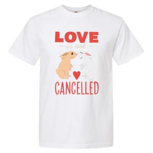 Cuddly Rabbits Gift Big Love Is Not Callnised Cute Gift Garment-Dyed Heavyweight T-Shirt