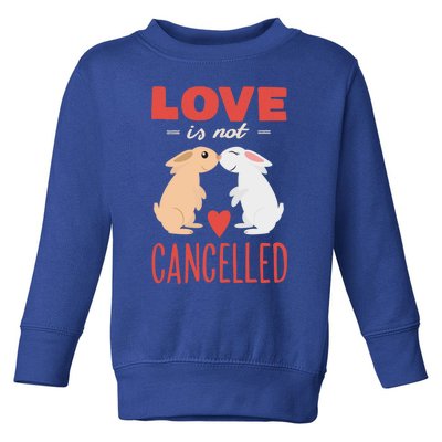 Cuddly Rabbits Gift Big Love Is Not Callnised Gift Toddler Sweatshirt