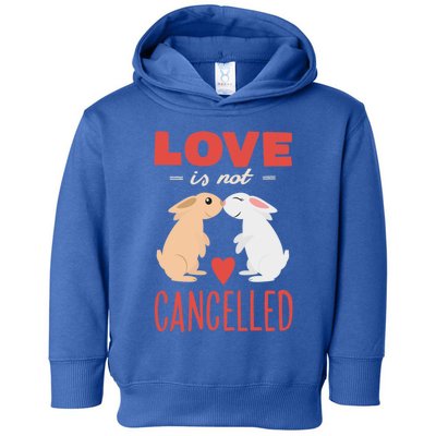 Cuddly Rabbits Gift Big Love Is Not Callnised Gift Toddler Hoodie