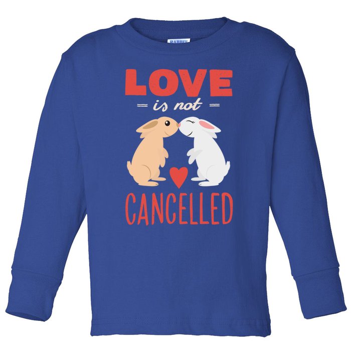 Cuddly Rabbits Gift Big Love Is Not Callnised Gift Toddler Long Sleeve Shirt