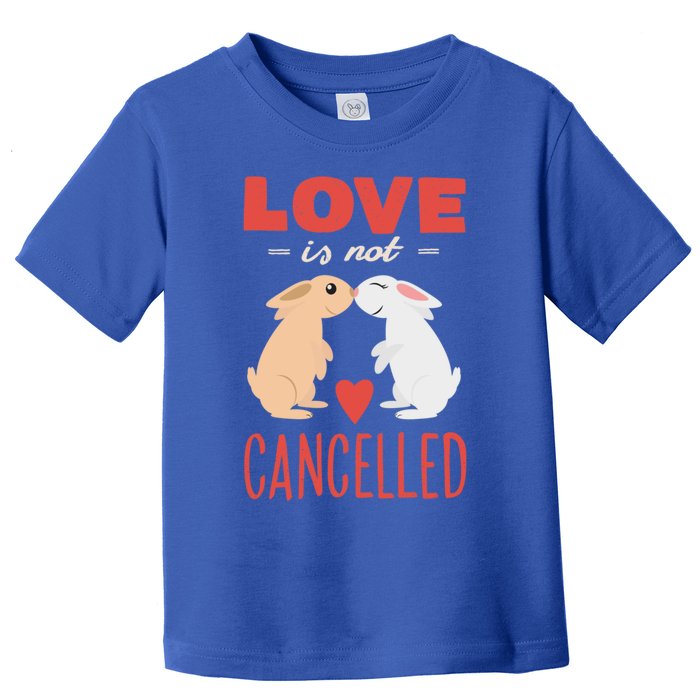 Cuddly Rabbits Gift Big Love Is Not Callnised Gift Toddler T-Shirt