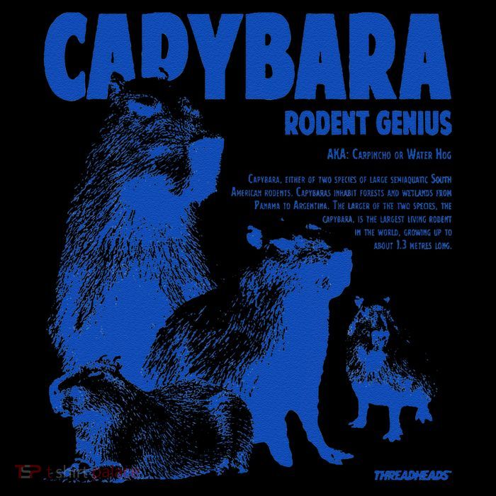 Capybara Rodent Genius 16 in Basic Backpack