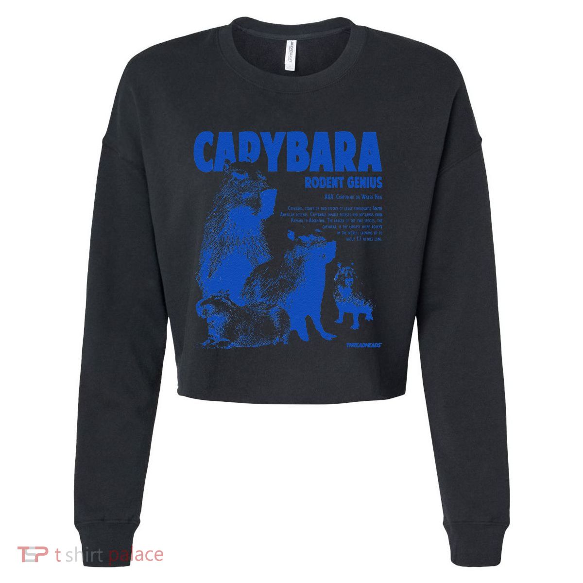 Capybara Rodent Genius Cropped Pullover Crew