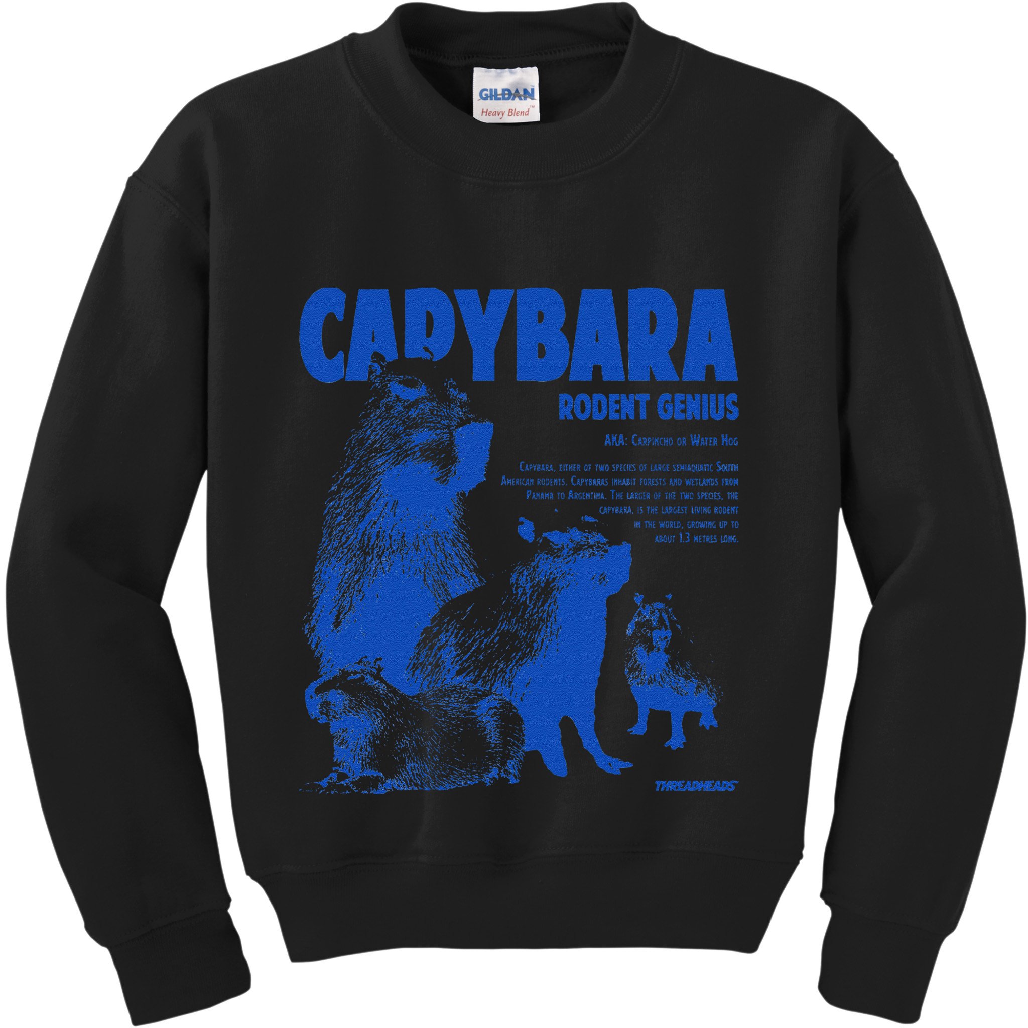 Capybara Rodent Genius Kids Sweatshirt
