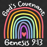 Christian Rainbow God’s Covenant G.e.n.e.s.i.s 913 Adult Drive Performance Visor