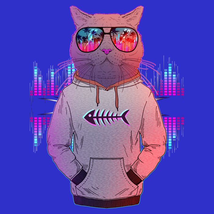 Cool Retro Hipster Hip Hop Music Cat Womens T-Shirt