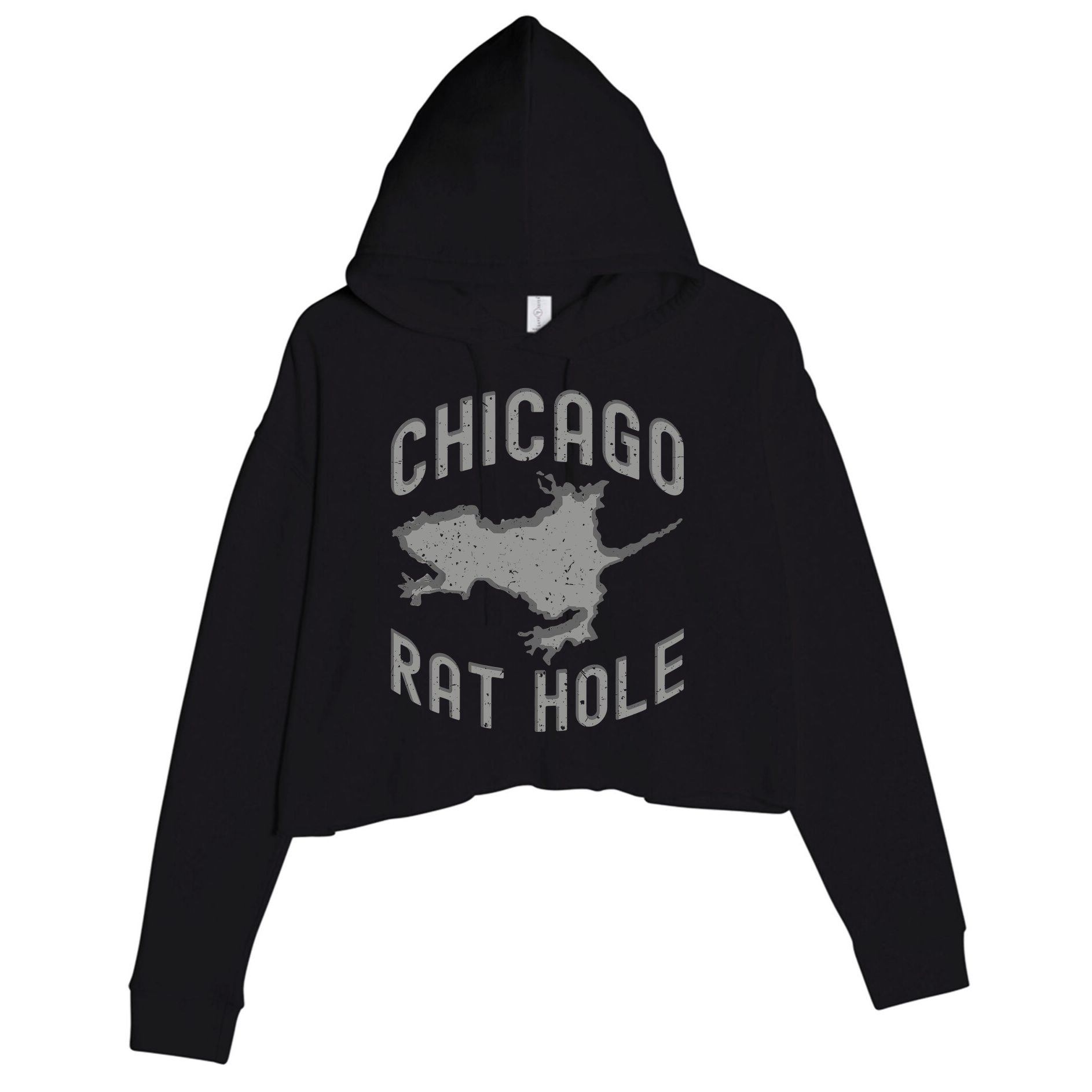 Chicago Rat Hole Hilarious Souvenir From Chicago Funny Crop Fleece Hoodie